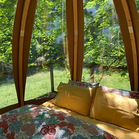 Sur Le Coux Bed & Breakfast Thyez